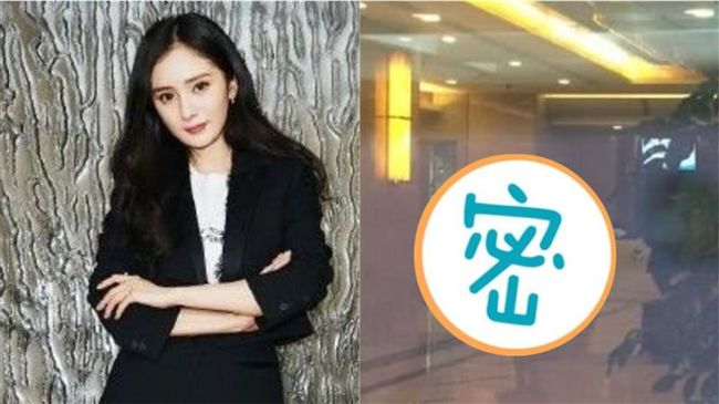 離婚後奔港見愛女　楊冪一動作網心碎