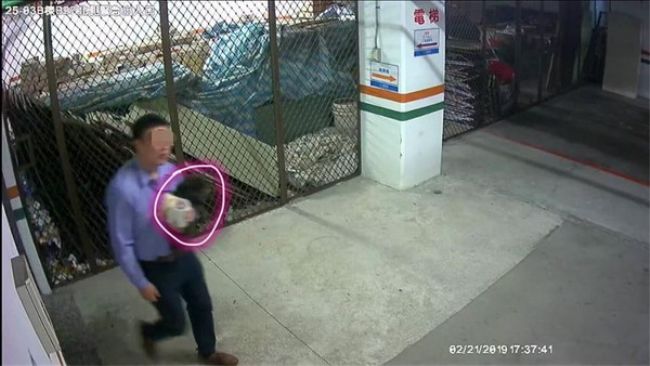 賓利駕駛抱走黑貴賓　稱帶去檢查晶片