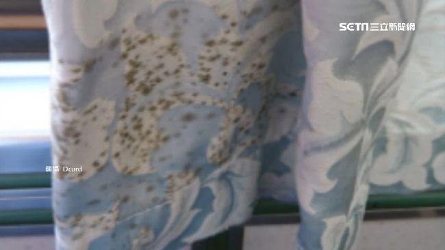 台鐵窗簾長霉斑　女大生：漲價我給錢