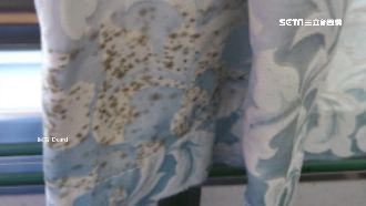 台鐵窗簾長霉斑　女大生：漲價我給錢