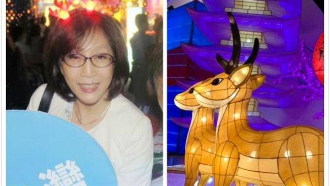 幫哭哭！她讚屏東燈會打趴高雄遭轟