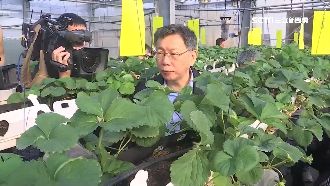 2020柯韓對決？柯文哲吟詩妙回