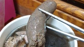 土虱,土虱魚蛋,聖品,釣蝦,爆廢公社　圖／翻攝自臉書爆廢公社