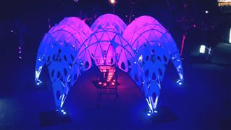 台灣燈會「珊瑚之心」　獲得國際提名