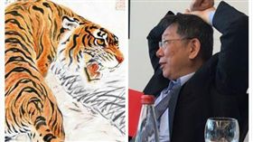 老虎、柯文哲（組合圖）