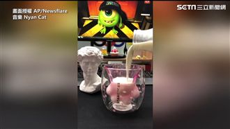 大打出手！貓爪杯引爆「聖杯之戰」