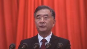 汪洋：貫徹告台灣同胞書40週年講話