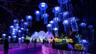 沒灌水！屏東燈會人數這樣統計出來的