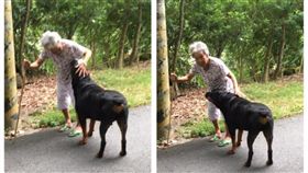 洛威拿慢慢。（圖／翻攝自洛威拿「慢慢」臉書）