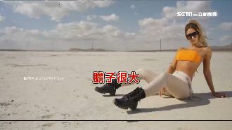 「膽子好大！」神曲空耳竟變這樣