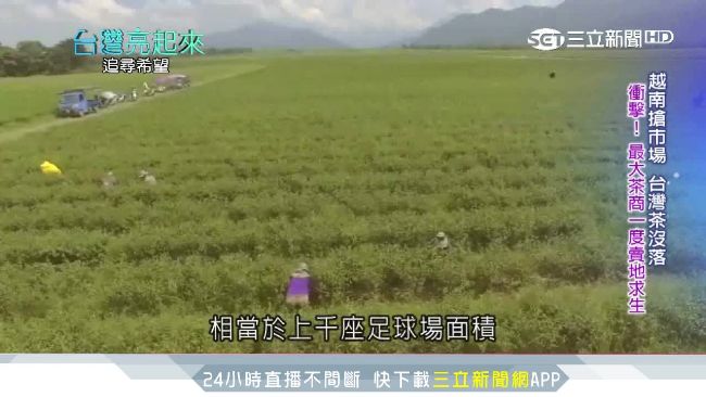 茶廠科技新革命！耗資2億導入滴灌法