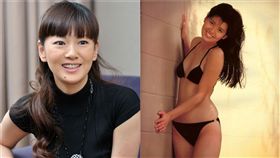  南野陽子 (圖/推特)