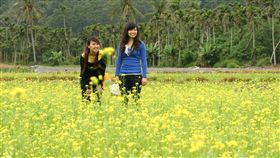 ▲春遊（圖／記者唐家興攝影）
