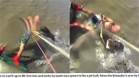 恐怖！海上衝浪也遭殃　比特犬瘋追狠咬他(圖/Daily Mail)