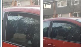 英國孕婦驚見車禍震動欲幫忙，近看才知是車震春宮。（圖／翻攝自每日郵報）