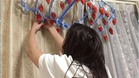 女友,草莓,貼心,日本,曬衣夾（圖／翻攝自推特）