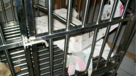 鐵籠,籠子,狗籠（圖／攝影者冠宇 red alfa, Flickr CC License）https://goo.gl/VnKAeK