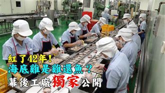 獨！海底雞是雞還魚？幕後工廠首公開