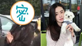  仙氣,女神,王祖賢,聶小倩,凍齡,佛法／翻攝自鳳凰網娛樂微博