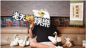 老天鵝娛樂創辦人　（圖／鏡文學授權刊登）