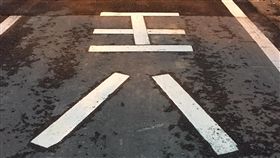 苗栗,竹南,道路標線,髒話,王八,惡作劇