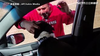 失蹤愛犬回家　主人哭喊「你這笨蛋」