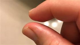 家庭革命,一點點,形容,／翻攝自爆廢公社