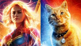 》票房亮眼，橘貓呆頭鵝《驚奇隊長（Goose）意外成焦點。（圖／翻攝自Marvel臉書）