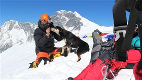 狗狗登喜馬拉雅山。（圖／翻攝自Don Wargowsky臉書）