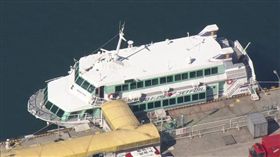 日本高速船撞上海中生物（圖／翻攝NHK推特）https://twitter.com/nhk_news/status/1104308587755720704