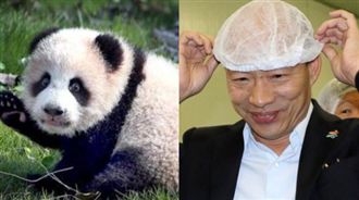 貓熊來台藍委興奮！對官員激動狂喊這