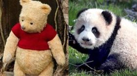 熊貓,韓國瑜,高雄,許沛,中國,維尼 圖/資料照