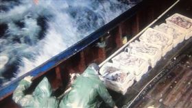 台中,大陸漁船,越界,捕撈,海巡（圖／翻攝畫面）