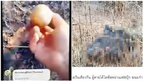 男撿到手榴彈把玩 下秒瞬間炸飛(圖/翻攝自springnews、YouTube)