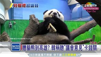 貓熊到高雄？養一對得年噴6700萬