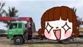 楊過,屏東,燈會,老鷹,花燈,口白,神鵰俠侶,雕,東港五四三,大鵬灣　圖／翻攝自東港五四三　