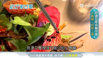 一年只開90天！無菜單餐廳超神秘
