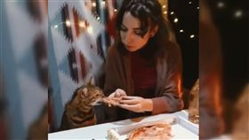 貓,飼主,共食,貓食,溫馨,噁心,披薩,寵物,輪流, 圖／翻攝自IG