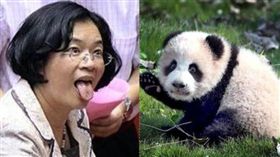 王惠美,貓熊,陳文彬,彰化縣長 圖/翻攝自罷免王惠美服務專區,資料照