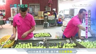 張家兄弟改種棗子　精品外銷產值破億