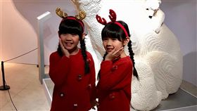 寬宏藝術,樂高積木動物園,顛倒屋,特展,左左右右,寒假,親子