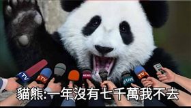 ▲網友反串中國貓熊經紀人諷刺潘恆旭。（圖／翻攝臉書「只是堵藍」）