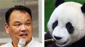  稱貓熊可愛「無攻擊性」　 學者怒斥：媒體不能沒有常識！（圖／翻攝自管中祥臉書、台北市立動物園臉書）