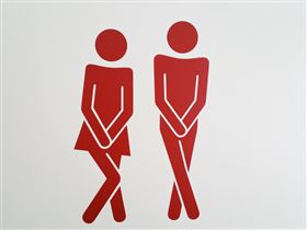 廁所　圖／翻攝自pixabay