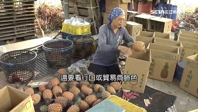 投韓鳳梨多賣20元？實際價格卻砍半