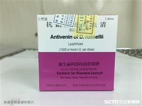 鎖鏈蛇及抗鎖鏈蛇毒血清。（圖／疾管署提供）