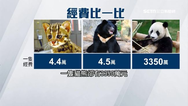 熊貓年吃3千萬　石虎1年僅4.4萬