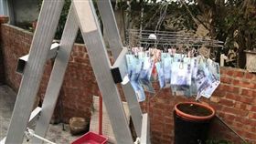 鈔票,媽媽,曬,後院,爆廢公社公開版　圖／翻攝自臉書爆廢公社公開版