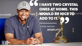 ▲伍茲生涯2度拿下球員錦標賽冠軍。（圖／翻攝自PGATOUR推特）