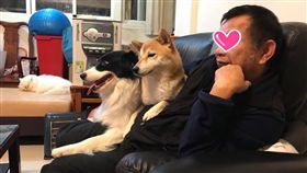 狗奴,父母,爸爸,媽媽,反對。翻攝爆怨公社